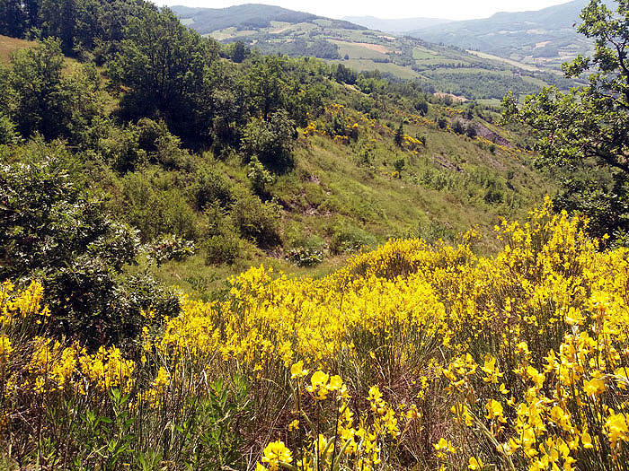 Oasi naturalistica del Carmine